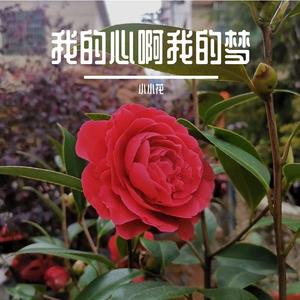 勇气大大的爆发