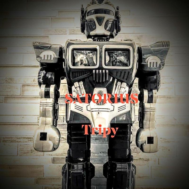 Tripy(RadioEdit)封面