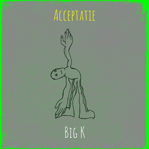 Acceptatie