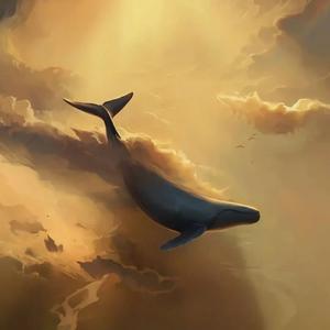 阿拉斯加的海湾