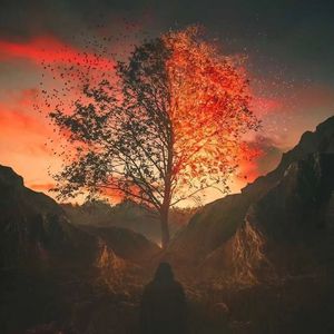 不下雪的冬天，没有你的城市