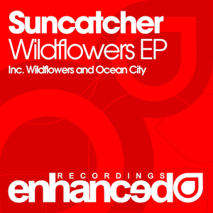 Wildflowers (Original Mix)