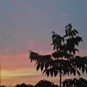 自述（prod by GumJ）