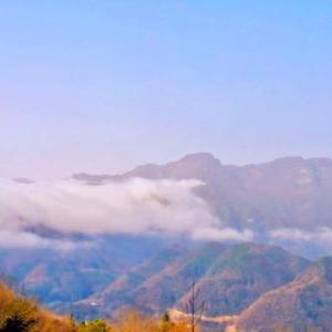 想见不能见最痛