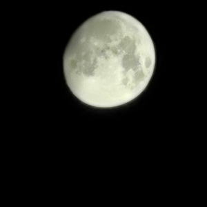 Insecure(Piano Ver.)