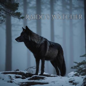 ᚱAIDO’S WATCHER