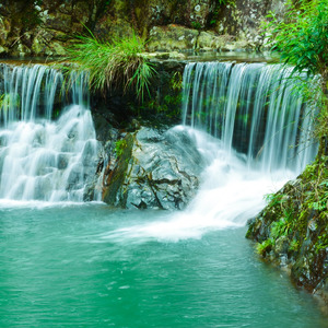 伊人如水（Cover 汤非）