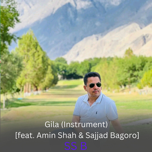 Gila (Instrument)