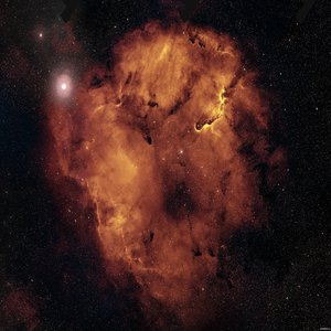 Staunch (Instrumental)