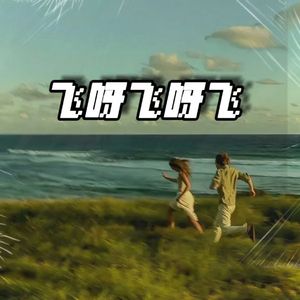 飞呀飞呀飞