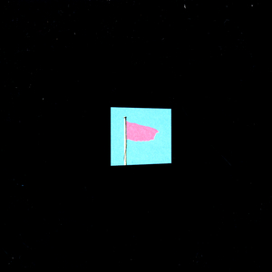 Pink Flag (r1) [(29 Nov 1999 Version)]