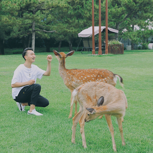 清晨.wav