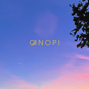 Higher Peace (Meditation)