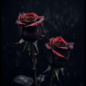 AtirGullar(玫瑰)-Remix