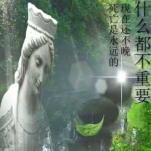 我还活在那场梦里