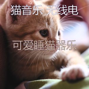 微妙的睡猫心情