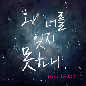 왜 너를 잊지 못하니 (Inst.)