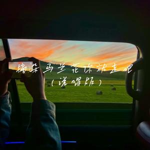 摘朵马兰你就走吧 (说唱版)