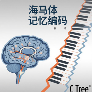 海马体记忆编码（记忆力觉醒）