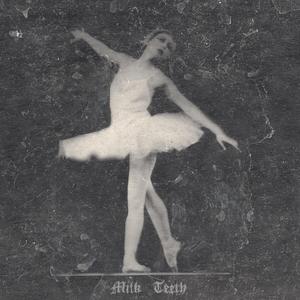 22 Richards Close Locks Heath