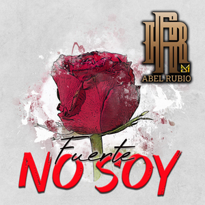 Fuerte No Soy