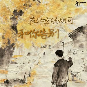 在北京的胡同里和你告别