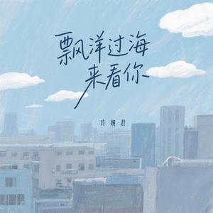 飘洋过海来看你