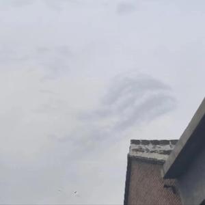 Sky & Dark bird(demo)