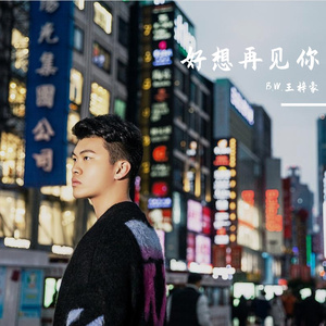 好想再见你