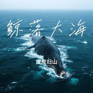 鲸落大海（Cover 白小白）