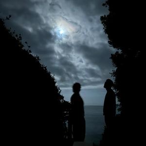 midnight walk