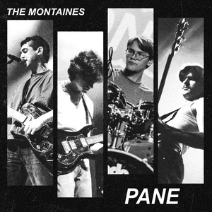 Pane