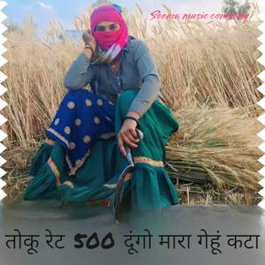 तोकू रेट 500 दूंगो मारा गेहूं कटा जाज्यो