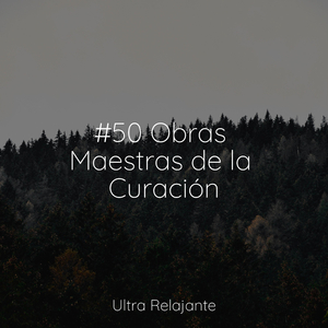 El Estrés Desaparece Para Siempre