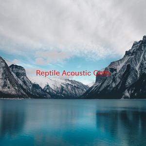 Reptile (Acoustic Goth) (Complete version originally performed by Nine Inch Nails)