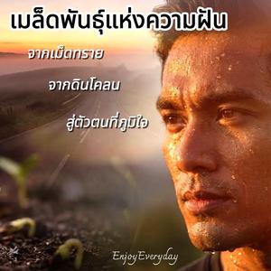 เมล็ดพันธุ์แห่งความฝัน