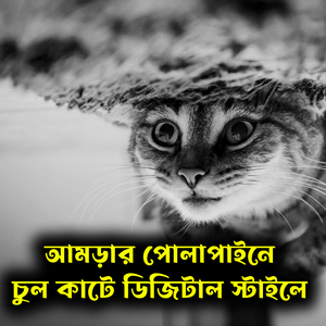 আমড়ার পোলাপাইনে চুল কাটে ডিজিটাল স্টাইলে