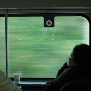 月光（翻自 李健）