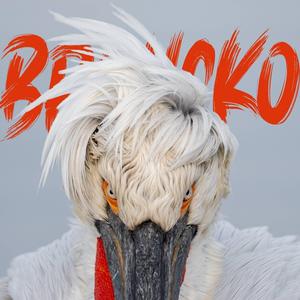 Love and Security (feat. Chantal Kashala)