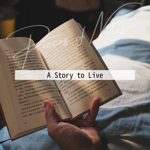 The History of a Book