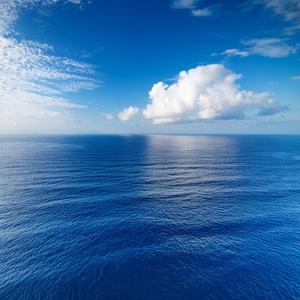 The Final Surrender To Rest