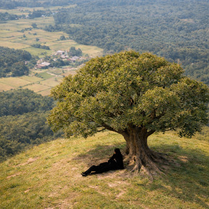 あなたを守りたい