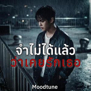 จำไม่ได้แล้วว่าเคยรักเธอ