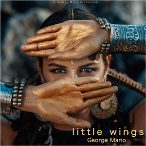 Little Wings