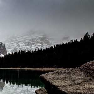 有人钢枪有人伏地魔性演绎大赛