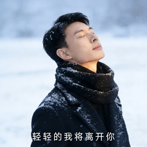 轻轻的我将离开你