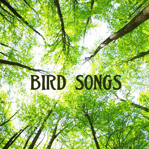Bird Songs