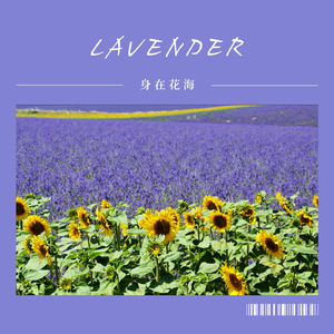 身在花海 Feat.GhostZero