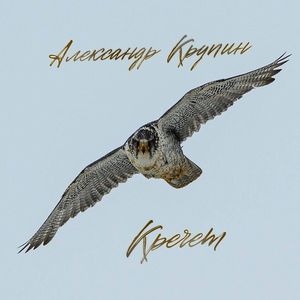 Кречет