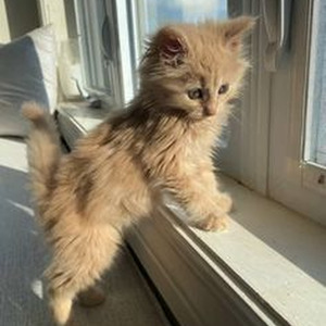 Boston Freestyle (sped up)